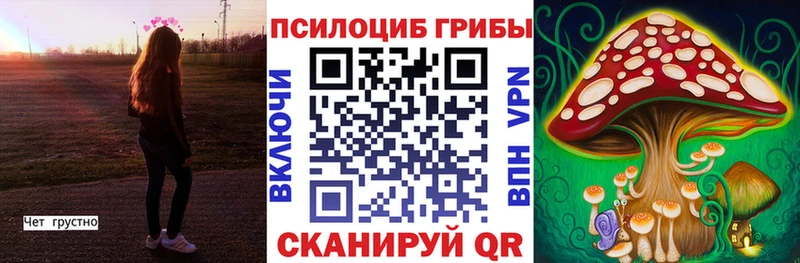 Псилоцибиновые грибы мухоморы  Купить закладки  Малоярославец 
